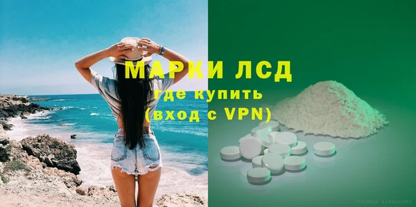 PSILOCYBIN Алзамай