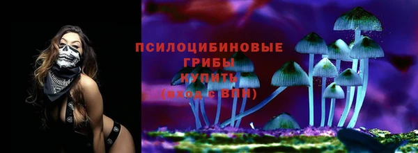 PSILOCYBIN Алзамай