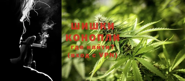 ГАЛЛЮЦИНОГЕННЫЕ ГРИБЫ Алексеевка